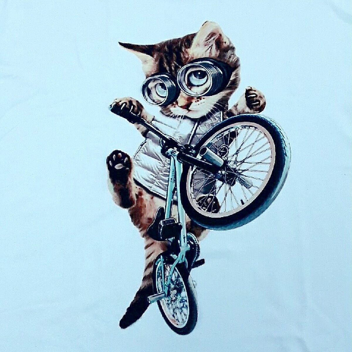 BMX Kitty T-Shirt, Choose Size: X-Large