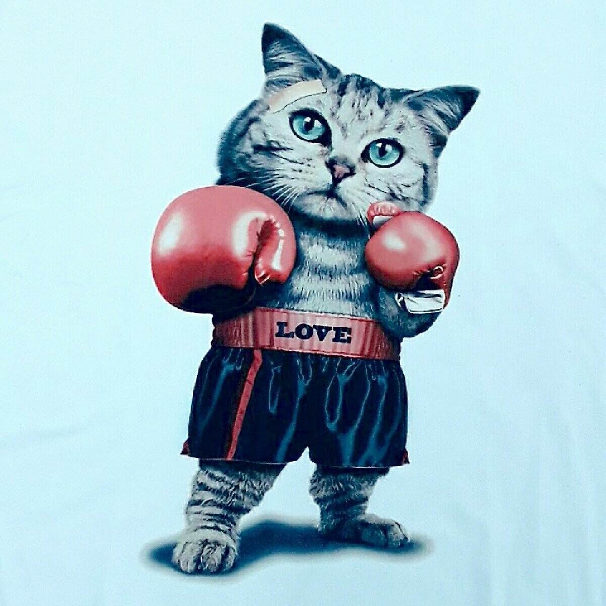 The Champ T-Shirt, Choose Size: XXX-Large