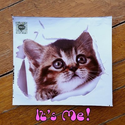 It's Me! Decal (F011)