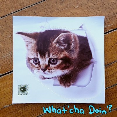 What'cha Doin'? Decal (F012)