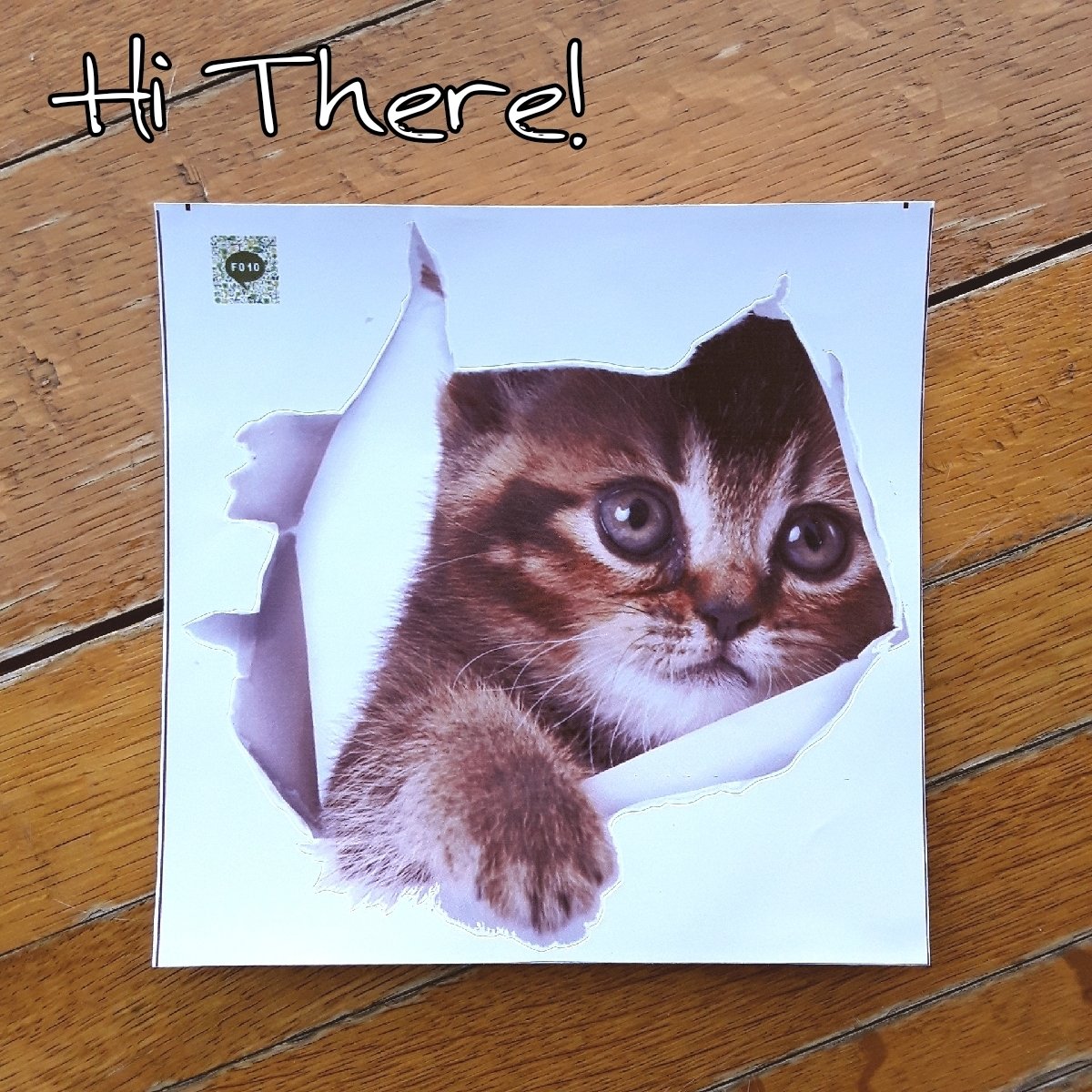 Hi There! Decal (F010)