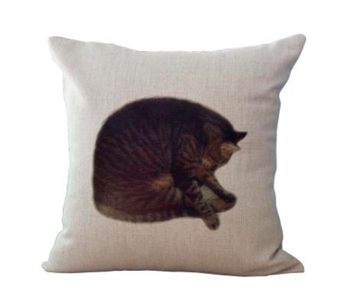 Tabby Cat Cushion Cover