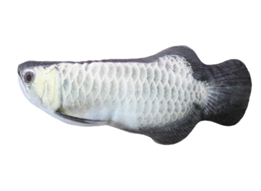 Large Fish Toy, Breed: Fish 1