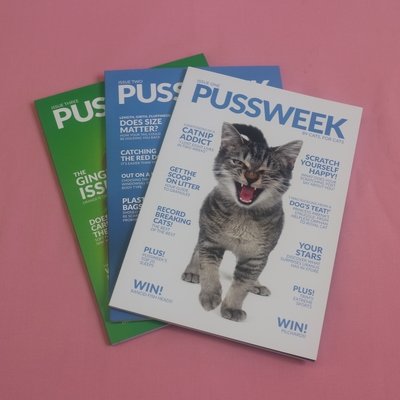 Books and Magazines