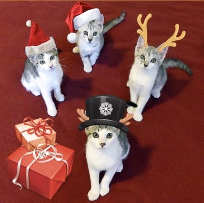 Christmas Gift Ideas