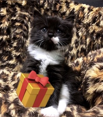Gifts Under $50