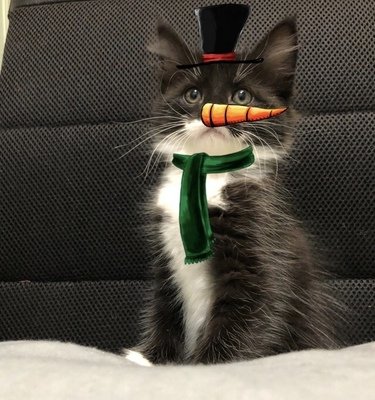 Secret Santa Ideas