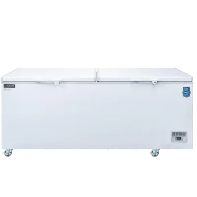BD/BG-520 Commercial Chest Freezer