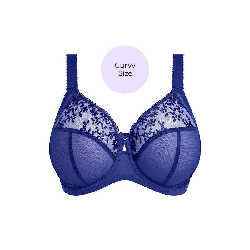 Zarla Full Cup  Bra