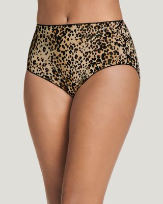 No Panty Line Hip Promise Hip Brief