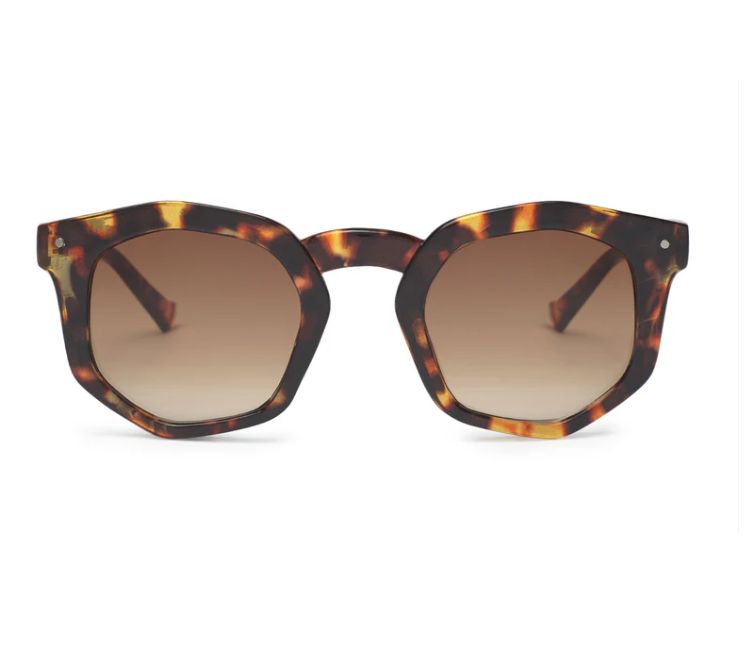 Audrey Tortoise