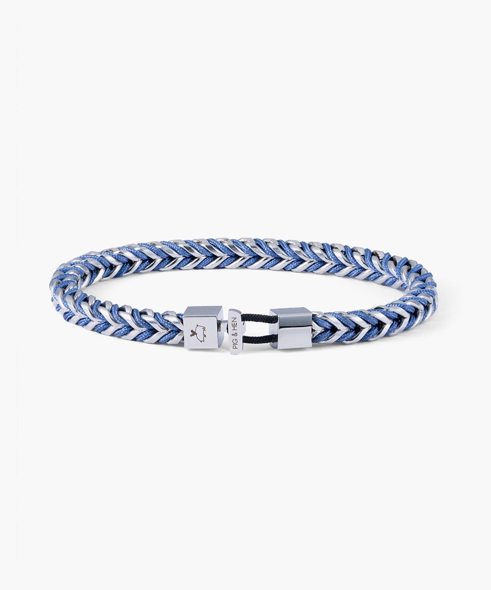 P52-1671000- ML - Catena Foxtail Indigo Purple | Silver