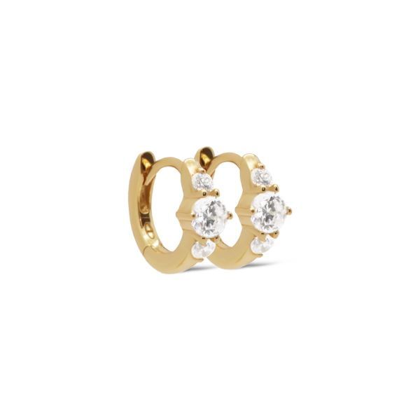 Hinged Hoops VIO