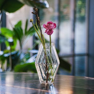 Vaas Small | Hexagon | Clear