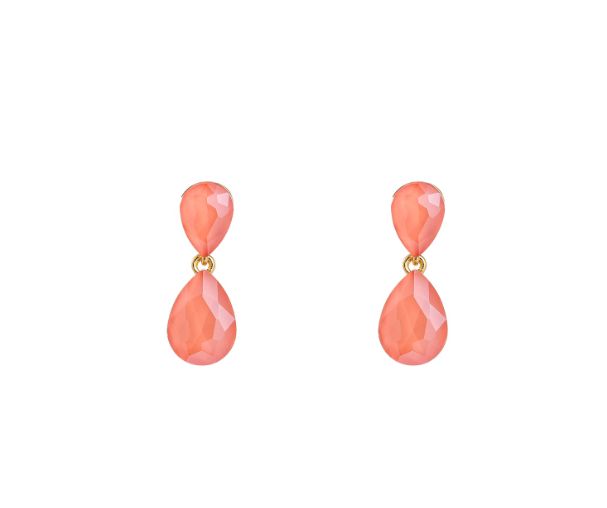 Little Double Drop Coral