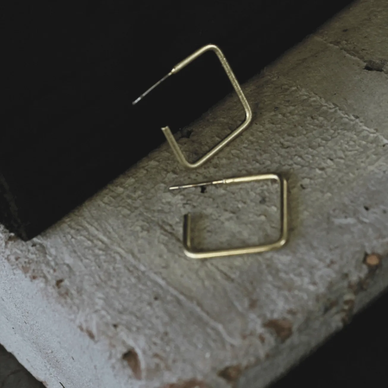 Vanity Earring