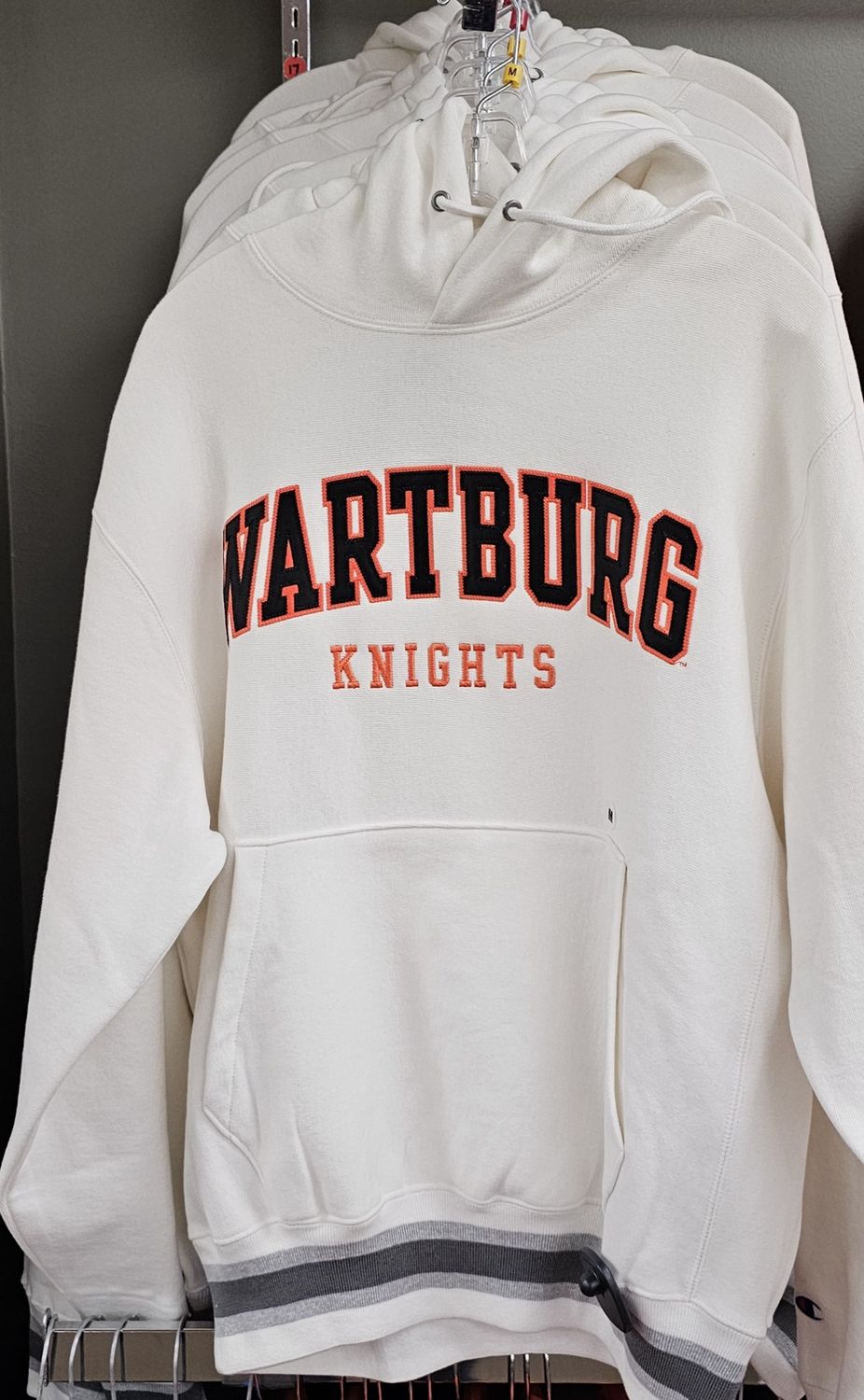 Champion Reverse Weave Embroidered Hood