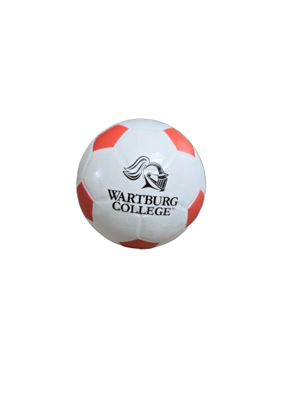 Mini Soccer Ball