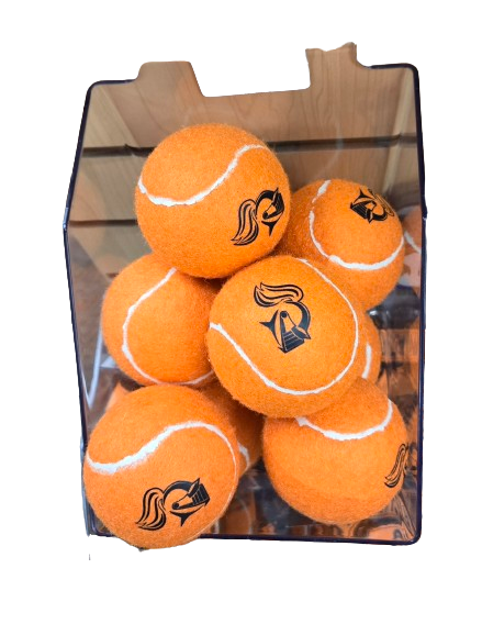 Fetch Pet Toy