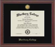 DIPLOMA FRAME: Medalllion Etched Gold in Midnight Black