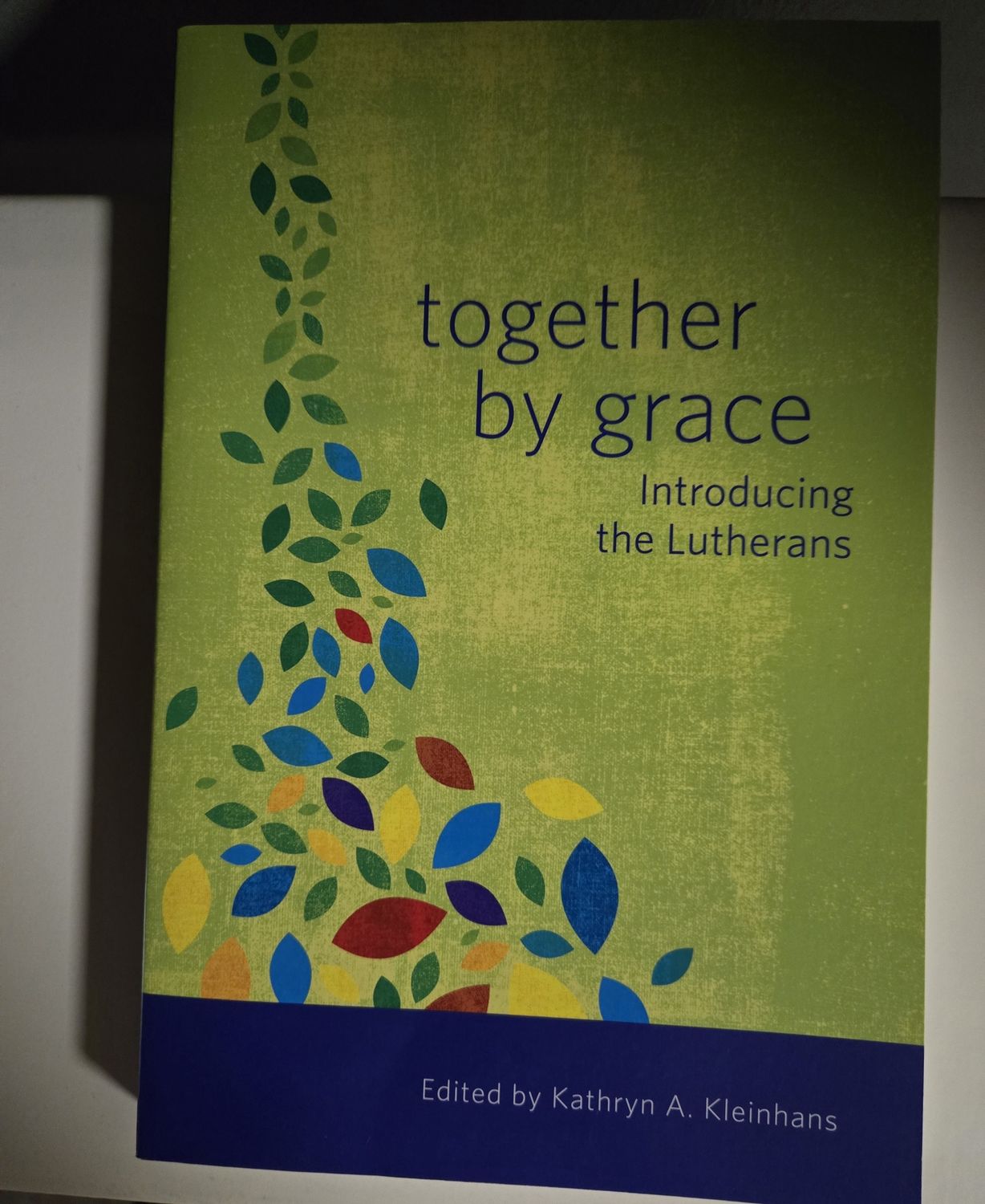 together by grace Introducing the Lutherans