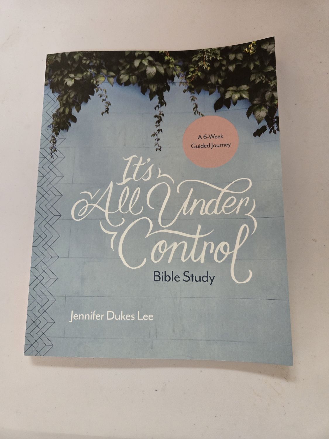 Jennier Dukes Lee / It&#39;s All Under Control