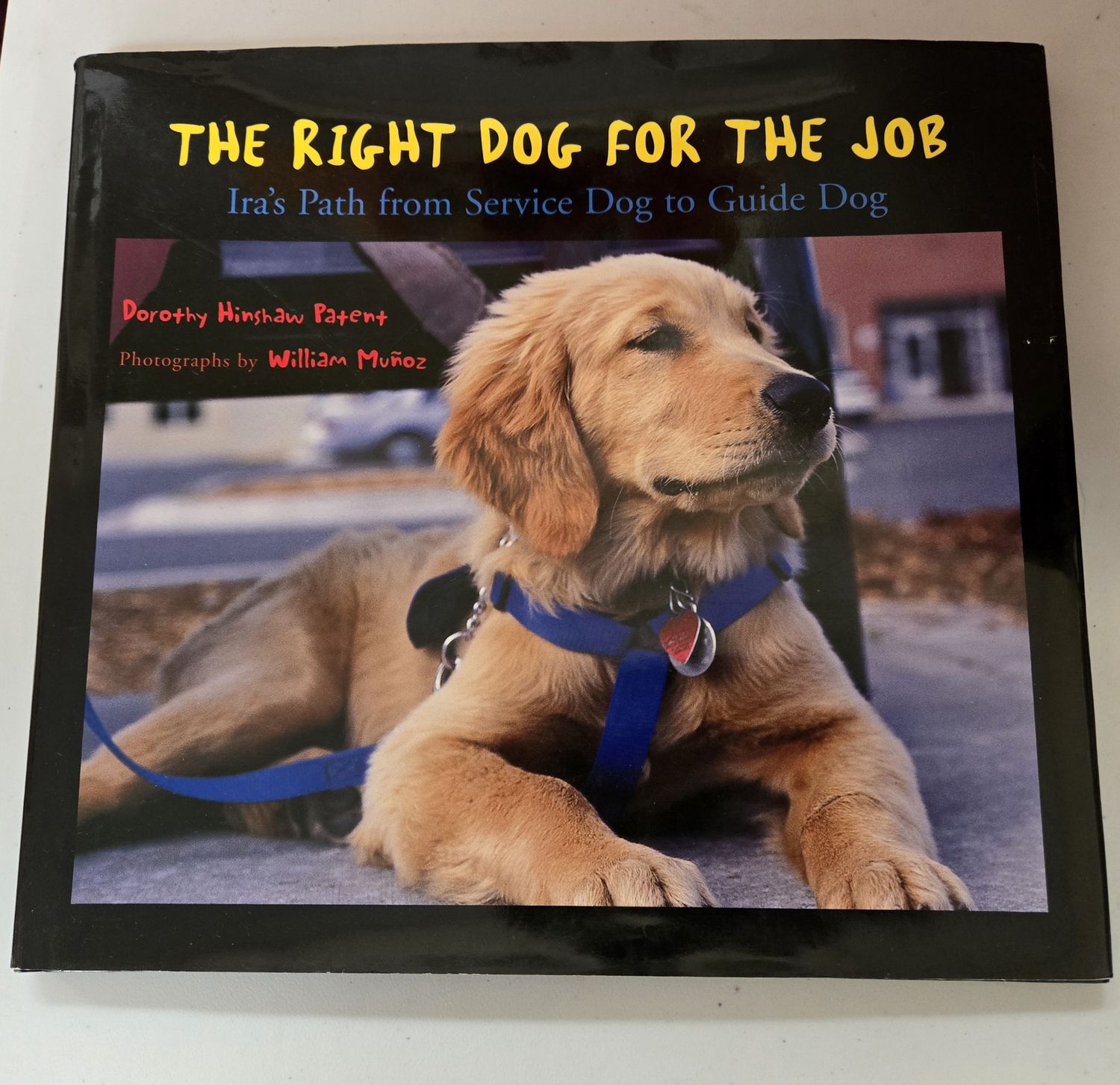 RIGHT DOG FOR THE JOB