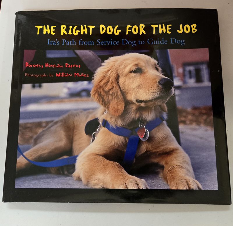 RIGHT DOG FOR THE JOB