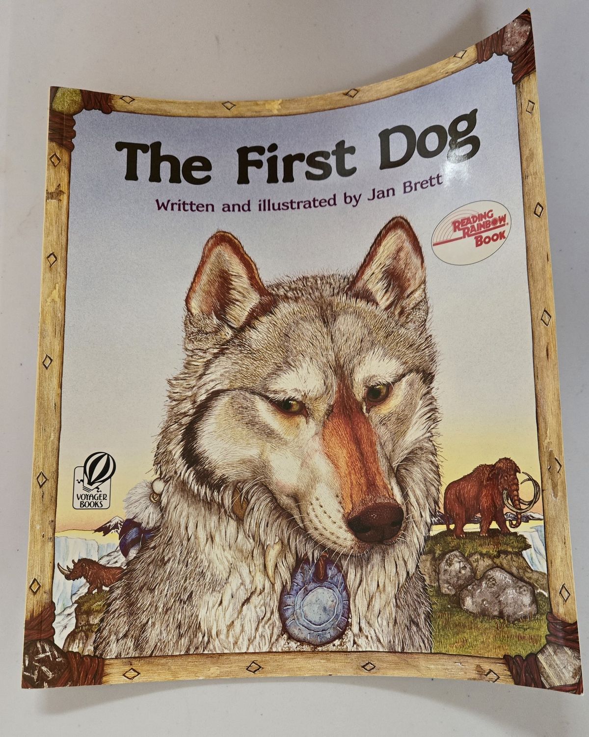 BRETT, JAN / THE FIRST DOG