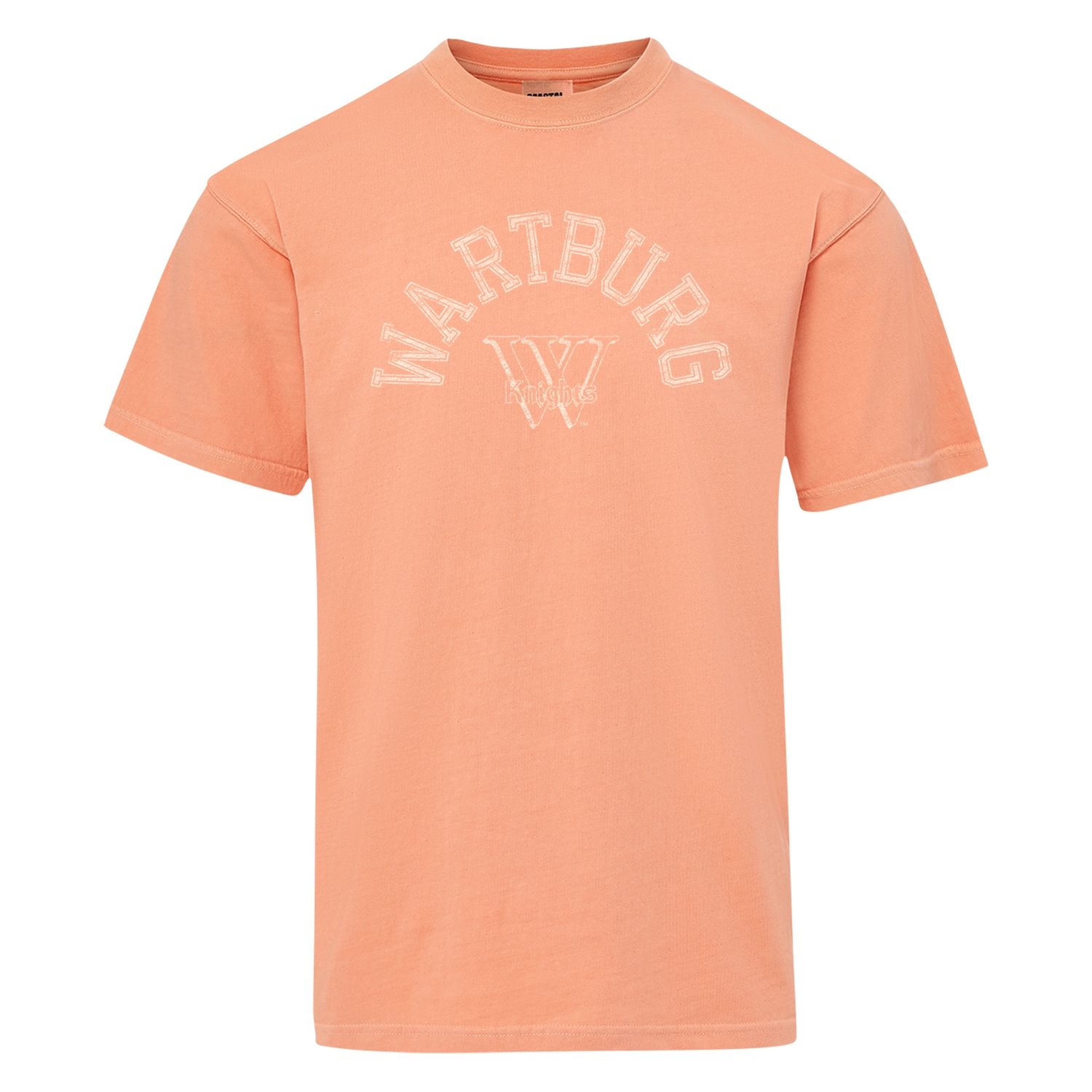 Coastal Color Tee
