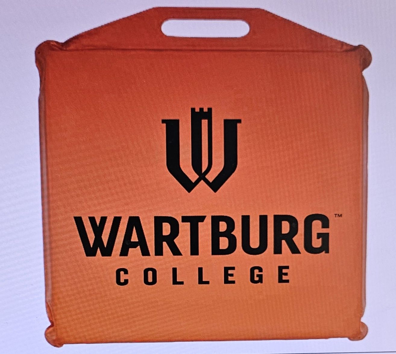 Stadium Cushion
