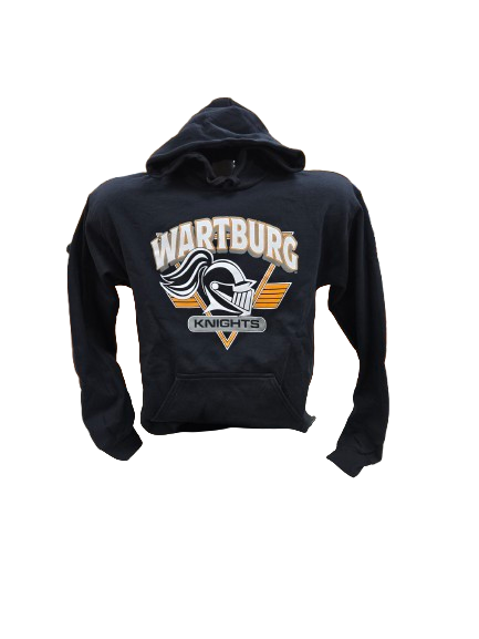 College House black hoodie