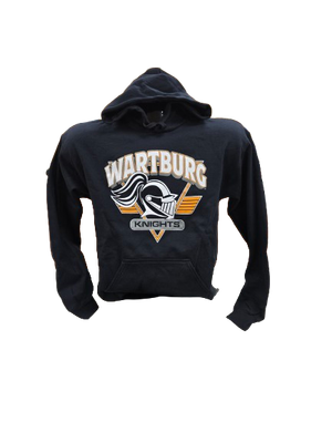 College House black hoodie