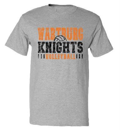 volleyball ss tee