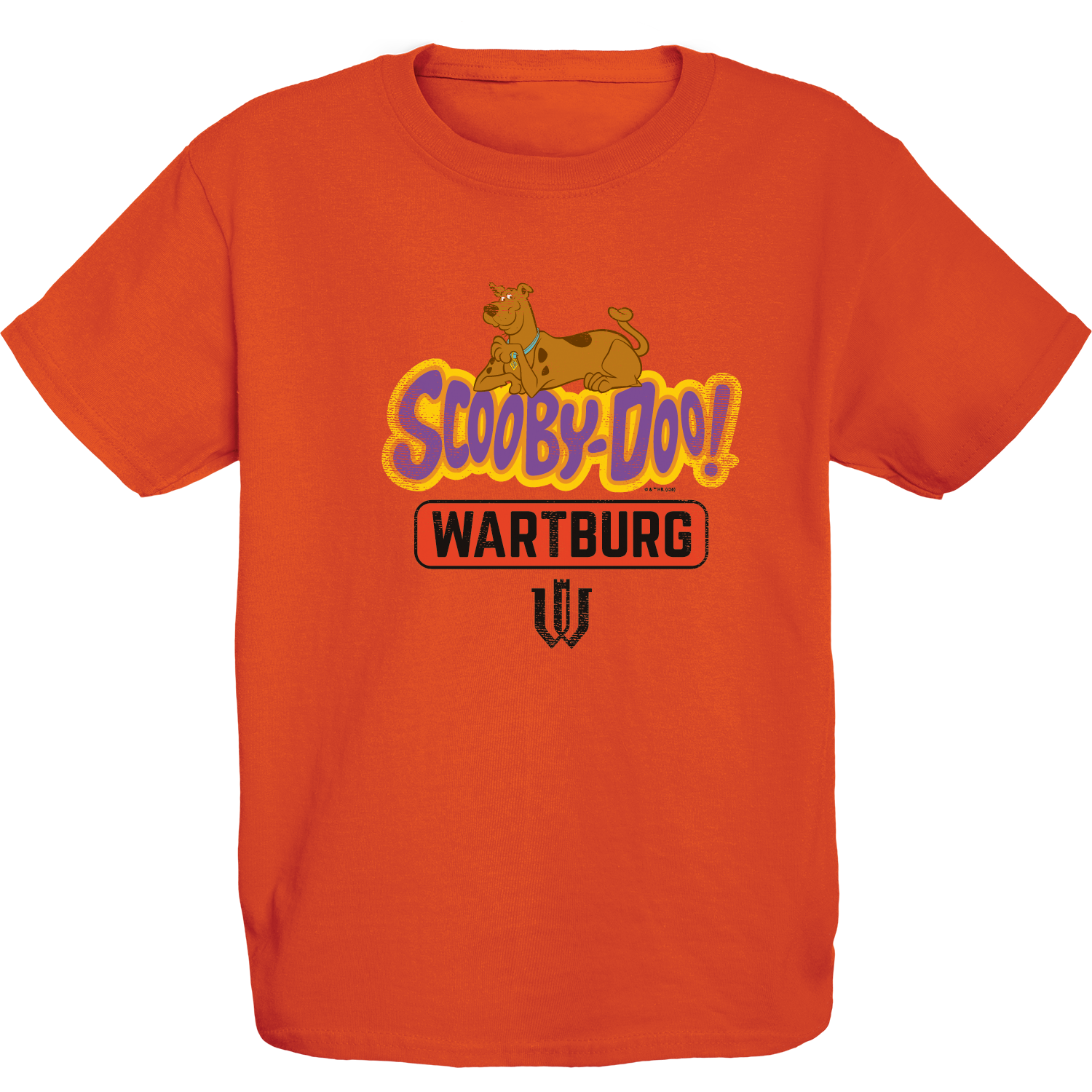 Scooby Doo Youth Tee