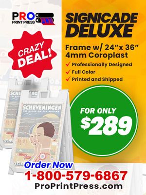 24 24" x 36" Signicade Delux Sidewalk Sign