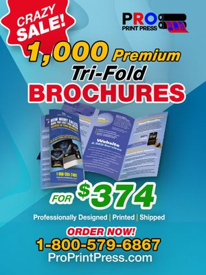 1000 Premium Tri-Fold Brochures