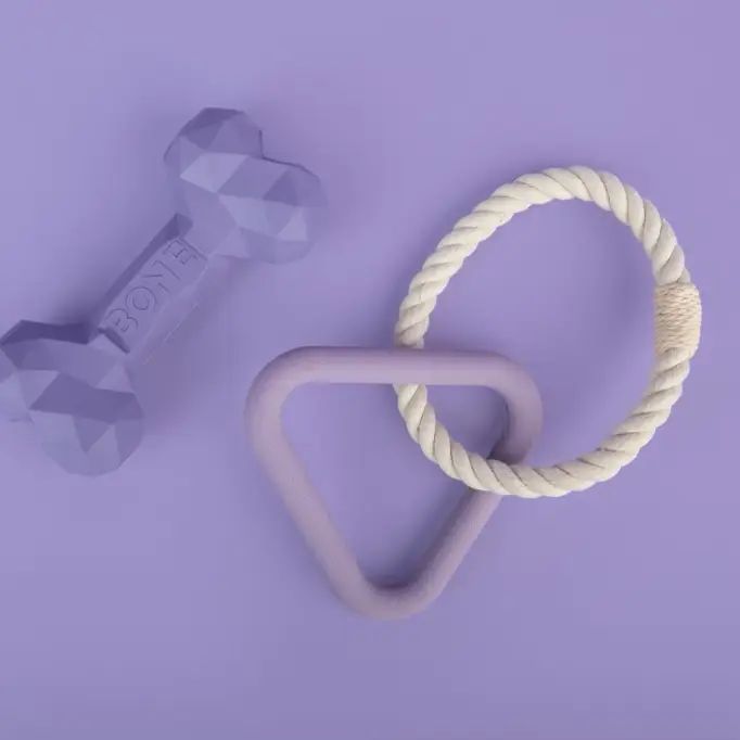 On-The-Run Triangle Toy