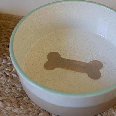 Ceramic Dog Food Bowl