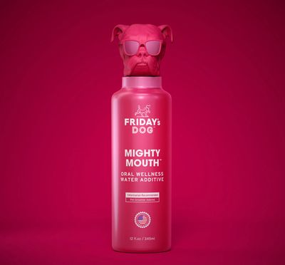 Friday&#39;s Dog Mighty Mouth