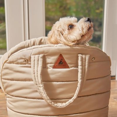 Lola Pet Car Carrier