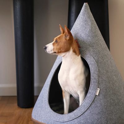 Buddy - Large Pet Cave