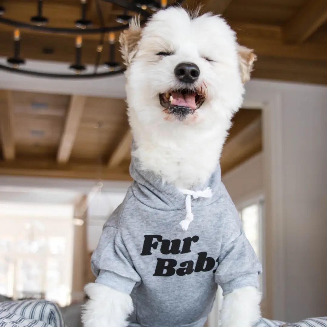 &quot;Fur Baby&quot; - Gray Dog Hoodie, Size: Medium