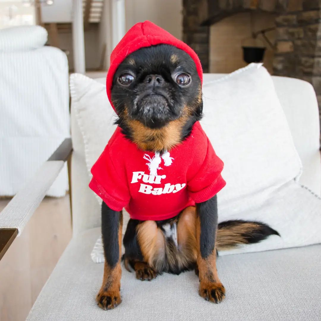&quot;Fur Baby&quot; - Red Dog Hoodie