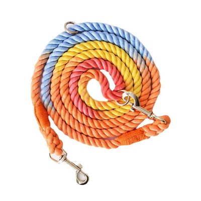 Loofie 7.6ft Handsfree Dog Leash - Rainbow