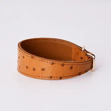Loofie - Large Leather Dog Collar
