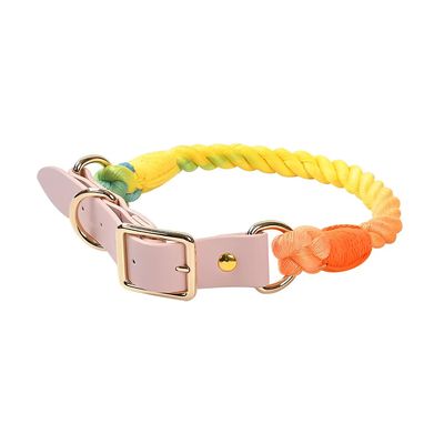 Loofie - Rainbow Dog Collar