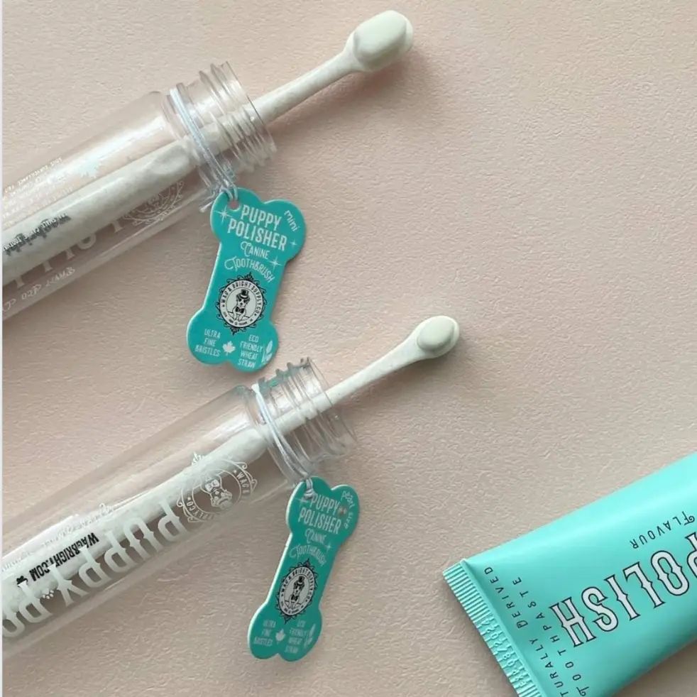 Puppy Polisher Eco Toothbrush