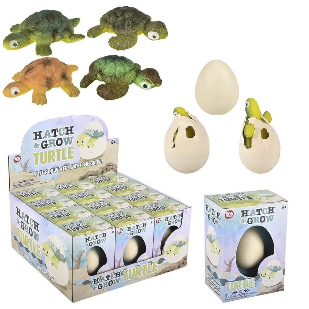 Hatch &amp; Grow Turtle Egg