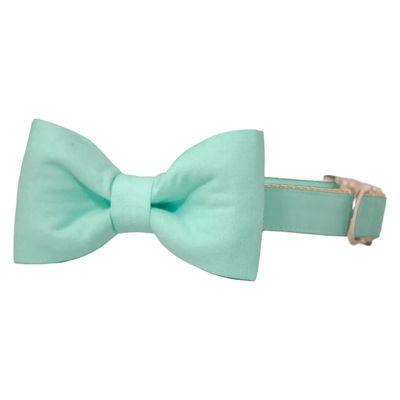 Mint - Bow Tie Dog Collar